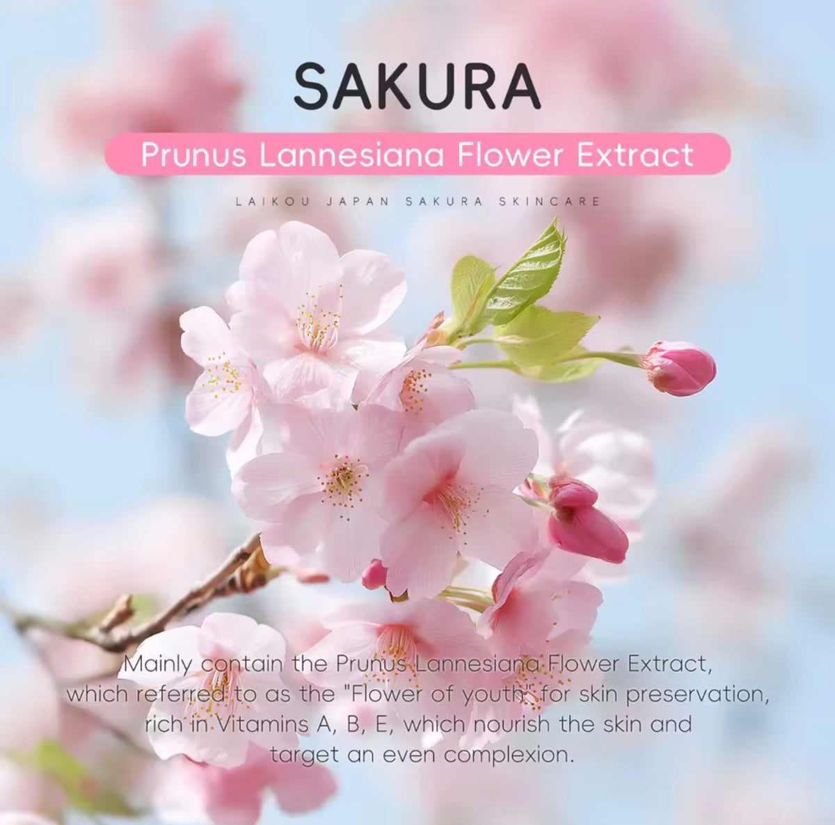 Sakura Cherry Blossom Toner – Brightens, Hydrates & Evens Skin Tone